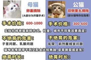 猫咪绝育伤口疼痛期长短（了解猫咪绝育手术后疼痛程度及治疗方法）