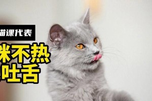 猫的舌头的作用及原因（探索猫的舌头为何如此特殊）