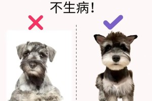 雪纳瑞养护宝典（打造健康快乐的雪纳瑞生活）