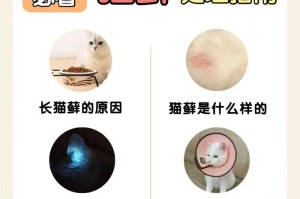 哪些猫品种容易患上猫藓？（了解不同猫品种易患猫藓的关键）