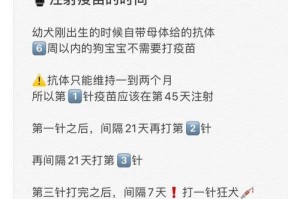 博美幼犬打完疫苗后多久可以洗澡？（洗澡时间与幼犬健康的关系深入探讨）