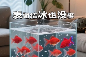 鹦鹉鱼（探究鹦鹉鱼的寿命及如何延长它们的生命）