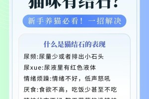 预防和治疗猫咪尿结石的饮食要点