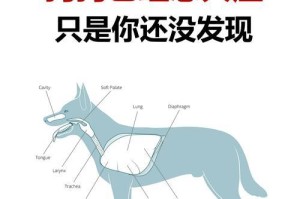 以得过狗瘟的狗能活多久？（探究狗瘟对狗寿命的影响及延长狗瘟幸存犬的方法）