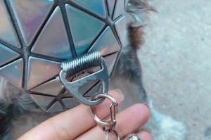 狗狗带铃铛需要多长时间适应？（了解狗狗适应铃铛的过程和时间）