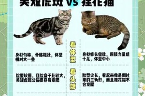 如何判断一只虎斑猫是否纯种？（关键因素及判断方法）