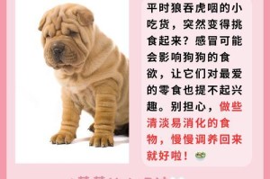 狗狗鼻子变“花”原因揭秘（狗狗鼻子变浅究竟是什么原因引起的？）