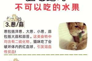 小猫拉稀禁食多久合适？（了解适当的禁食时长对小猫拉稀的治疗至关重要）