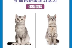 母猫为何在交配时惨叫？（解密母猫交配时的呼声，探究原因）