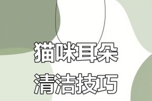 如何正确给猫咪洗耳朵（了解猫咪耳部保健的必要性及步骤）