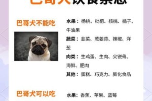 八哥犬——一个多才多艺的伴侣（探索巴哥犬的六大优点）