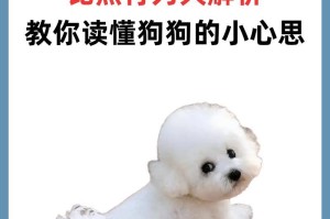 比熊挤肛门腺的频率及方法（维护比熊健康的关键之一-定期挤肛门腺）
