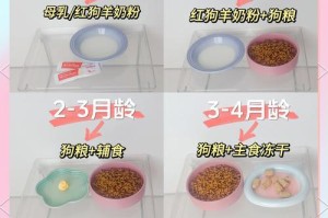 狗狗羊奶粉喂养时间的选择（宠物狗狗的成长与健康）