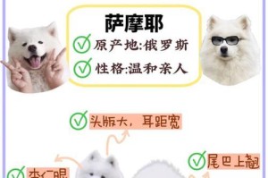 狗的疫苗保护期限多久？（探索狗疫苗的保护时间及关键因素）