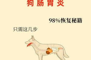 狗狗肠炎的症状与治疗（了解狗狗肠炎的常见症状和有效药物治疗）