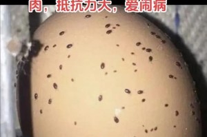 揭秘螨虫的生态习性（探寻螨虫繁衍与危害的奥秘）