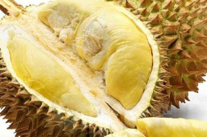 谨慎选择，金毛禁食水果揭秘（了解金毛不能吃的水果，守护它的健康）