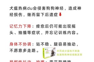 犬瘟康复期症状及护理指南（详解犬瘟康复期的主要症状和护理方法）