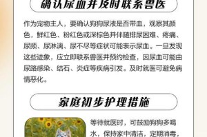 狗狗拉血，服用云南白药需要多久？（了解云南白药的使用方法和疗效，保护宠物的健康）
