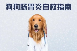 狗狗胃炎（了解狗狗胃炎的康复时间和关键因素）