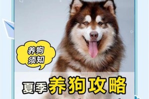 狗狗抽搐的五大原因，铲屎官千万要注意啦！（了解狗狗抽搐的原因及预防措施，保护宠物健康）