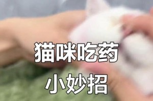 如何巧妙给猫咪喂药？学会这些技巧，不费劲（掌握喂药技巧，让猫咪服药不再难！）