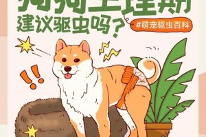 如何合理安排成年狗狗的体外驱虫频率？（掌握成年狗狗驱虫时间间隔的关键）