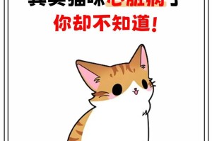 猫咪得病的常见症状及应对方法（探索猫咪健康的关键因素）
