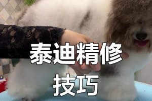 泰迪剃毛后多久能进行美容？（探索泰迪剃毛后恢复美容的最佳时机）