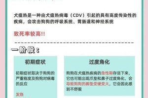犬瘟热晚期（探究犬瘟热晚期的致命性与预防关键）