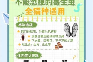 猫的体内驱虫周期及方法探究（保护猫咪健康，掌握适当的驱虫时间和方法）