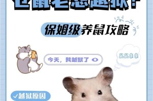 仓鼠饲养管理（解密仓鼠饲养）