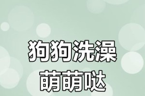 小狗的洗澡时间和频率（合适的洗澡时间和频率可以使小狗保持清洁与健康）