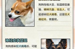 如何判断狗狗是否感染狂犬病毒？（6个征兆帮助你检测狗狗是否患上狂犬病）