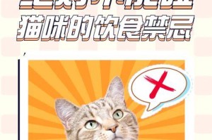 猫咪不吃东西的时间有多久？（探索猫咪饮食习惯中的奥秘）