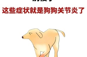狗生病的常见表现及预防措施（从食欲、体温到行为，了解狗病的各种迹象，预防胜于治疗）