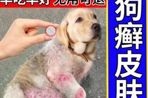 狗狗大量脱毛的病因与治疗方法（探索狗狗脱毛的原因及有效的治疗方法）