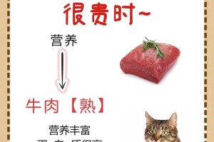 小猫肠胃不好，选择适合的粮食很重要（小猫的肠胃健康需求及饮食注意事项）