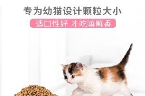 选择适合幼猫的最佳猫粮（如何给幼猫选择最适合的猫粮以保证其健康成长）