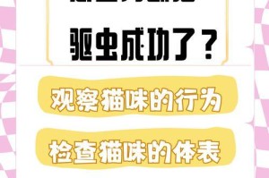 从猫咪的排尿行为来观察它的健康状况（了解猫咪健康的关键——排尿行为的观察）