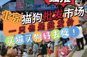 探寻北京通州的狗舍乐园（发现狗狗天堂的最佳地点）