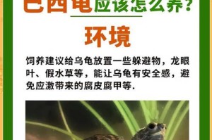 冬季养护（寒冷季节下，巴西龟的水换频率调整技巧及注意事项）