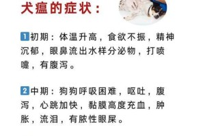 犬瘟潜伏期到中期所需时间的研究（揭秘犬瘟病毒的潜伏过程及发展趋势）