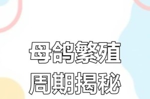 关于鸽子繁殖的注意事项（防止早配，促进健康繁殖）