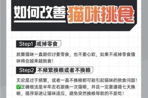 解决猫咪挑食问题的有效方法（改善猫咪宁愿饿肚子也不吃猫粮的技巧）