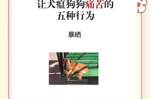 如何治愈狗瘟并延长犬只寿命（探讨狗瘟的治疗方法以及狗瘟患者的预期寿命）