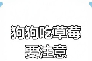 狗狗吃草莓需注意的三个地方（细数狗狗食用草莓需要留意的要点）