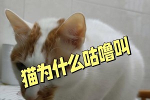 猫为什么会一直咕咕叫？（探寻猫咪咕咕声背后的原因）