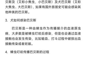 狗狗打虫的最佳时间及频率（了解狗狗打虫的时机与频率，守护它们的健康）