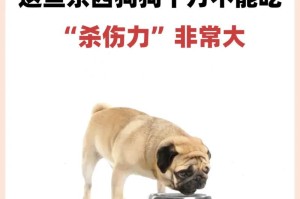 小狗的饮食（了解小狗可以吃的食物，让它们健康快乐成长）